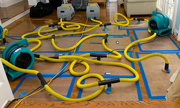 Professional Water Damage Restoration technician working in Forreston, TX