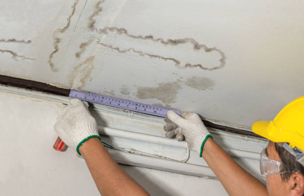 Affordable Water Damage Repair solutions in Forreston, TX
